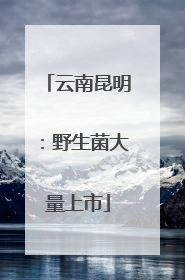云南昆明：野生菌大量上市