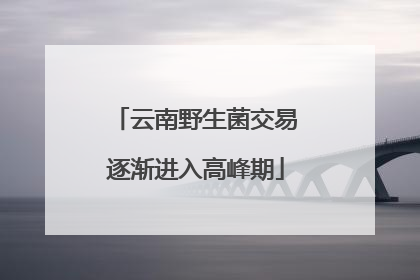云南野生菌交易逐渐进入高峰期