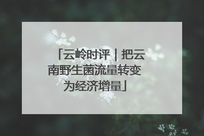 云岭时评｜把云南野生菌流量转变为经济增量