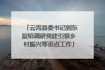 云霄县委书记到东厦镇调研党建引领乡村振兴等重点工作