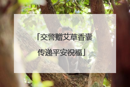 交警赠艾草香囊 传递平安祝福