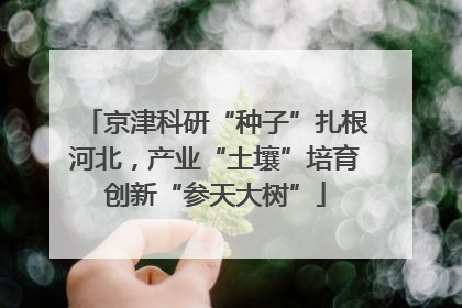 京津科研“种子”扎根河北，产业“土壤”培育创新“参天大树”