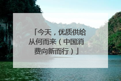 今天，优质供给从何而来（中国消费向新而行）