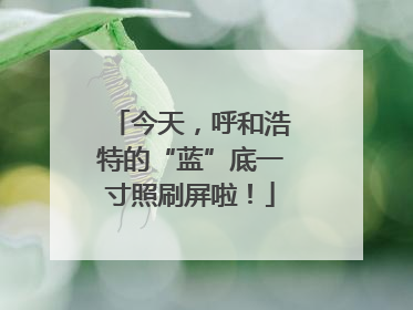 今天，呼和浩特的“蓝”底一寸照刷屏啦！