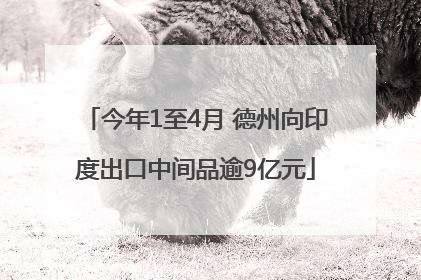 今年1至4月 德州向印度出口中间品逾9亿元