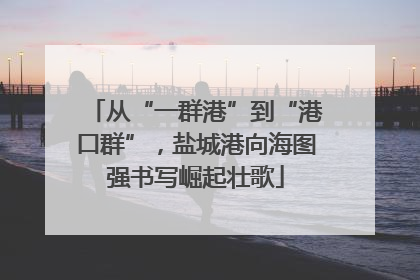 从“一群港”到“港口群”，盐城港向海图强书写崛起壮歌