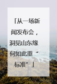 从一场新闻发布会，洞见山东缘何如此重“标准”
