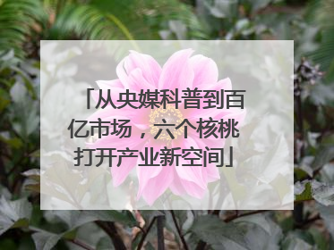 从央媒科普到百亿市场，六个核桃打开产业新空间