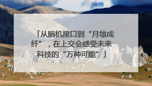 从脑机接口到“月壤成纤”，在上交会感受未来科技的“万种可能”