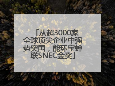 从超3000家全球顶尖企业中强势突围，能环宝蝉联SNEC金奖