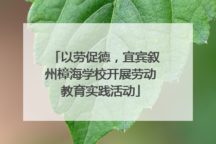 以劳促德，宜宾叙州樟海学校开展劳动教育实践活动