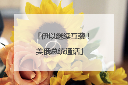 伊以继续互袭！美俄总统通话
