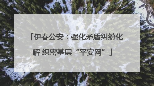 伊春公安：强化矛盾纠纷化解 织密基层“平安网”