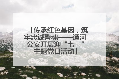 传承红色基因，筑牢忠诚警魂——通河公安开展迎“七一”主题党日活动