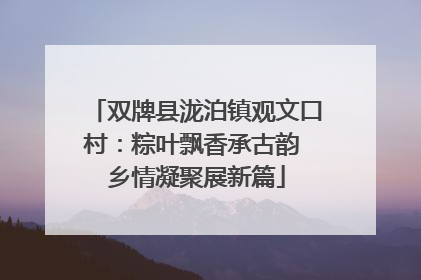 双牌县泷泊镇观文口村：粽叶飘香承古韵 乡情凝聚展新篇