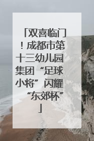 双喜临门！成都市第十三幼儿园集团“足球小将”闪耀“东郊杯”