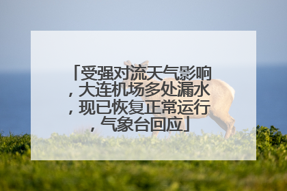 受强对流天气影响，大连机场多处漏水，现已恢复正常运行，气象台回应