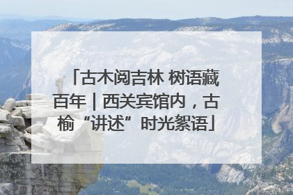 古木阅吉林 树语藏百年｜西关宾馆内，古榆“讲述”时光絮语