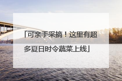 可亲手采摘！这里有超多夏日时令蔬菜上线