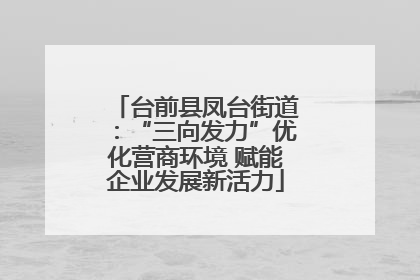台前县凤台街道：“三向发力”优化营商环境 赋能企业发展新活力