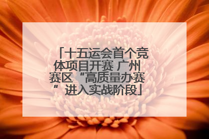 十五运会首个竞体项目开赛 广州赛区“高质量办赛”进入实战阶段