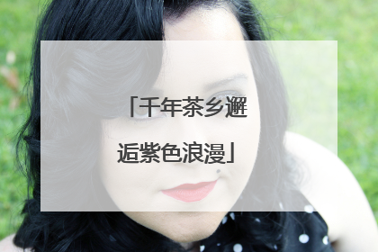 千年茶乡邂逅紫色浪漫