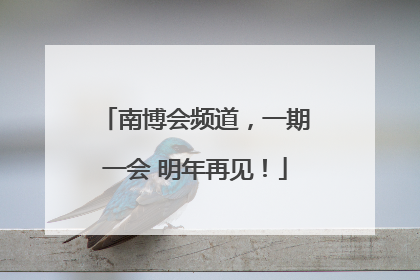 南博会频道，一期一会 明年再见！