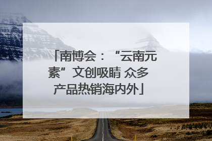 南博会：“云南元素”文创吸睛 众多产品热销海内外