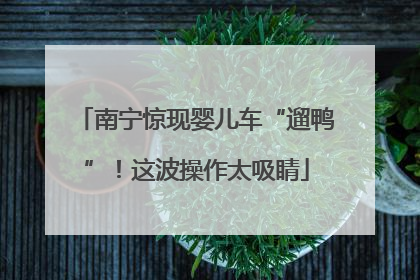 南宁惊现婴儿车“遛鸭”！这波操作太吸睛