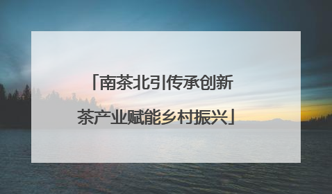 南茶北引传承创新 茶产业赋能乡村振兴