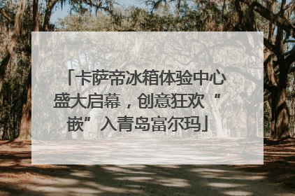 卡萨帝冰箱体验中心盛大启幕，创意狂欢“嵌”入青岛富尔玛