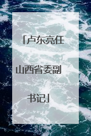 卢东亮任山西省委副书记