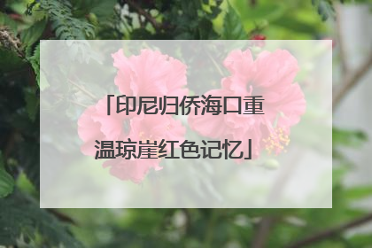 印尼归侨海口重温琼崖红色记忆