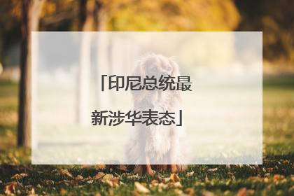 印尼总统最新涉华表态