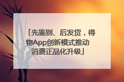 先鉴别、后发货，得物App创新模式推动消费正品化升级