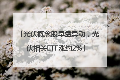 光伏概念股早盘异动，光伏相关ETF涨约2%