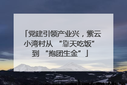 党建引领产业兴，紫云小湾村从 “靠天吃饭” 到 “抱团生金”