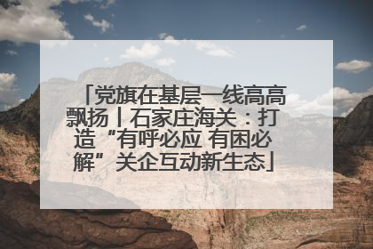 党旗在基层一线高高飘扬丨石家庄海关：打造“有呼必应 有困必解”关企互动新生态