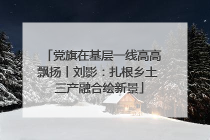 党旗在基层一线高高飘扬丨刘影：扎根乡土 三产融合绘新景