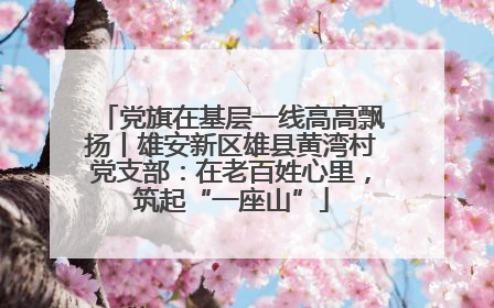 党旗在基层一线高高飘扬丨雄安新区雄县黄湾村党支部：在老百姓心里，筑起“一座山”