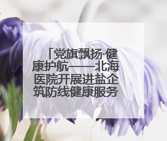 党旗飘扬·健康护航——北海医院开展进盐企筑防线健康服务行动