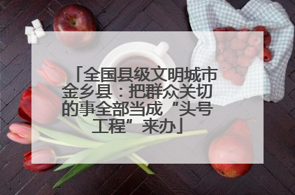全国县级文明城市金乡县：把群众关切的事全部当成“头号工程”来办