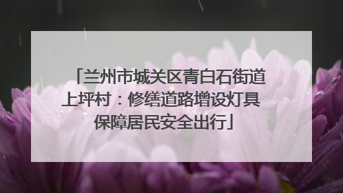 兰州市城关区青白石街道上坪村：修缮道路增设灯具 保障居民安全出行