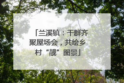 兰溪镇：干群齐聚屋场会，共绘乡村“靓”图景