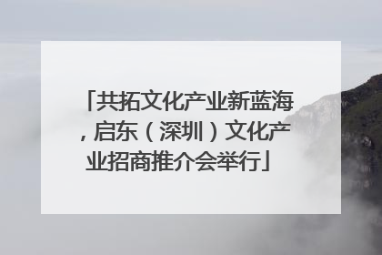 共拓文化产业新蓝海，启东（深圳）文化产业招商推介会举行