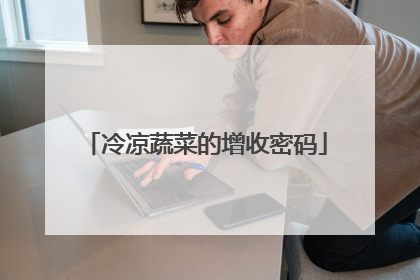 冷凉蔬菜的增收密码