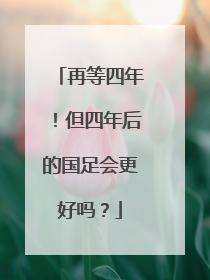 再等四年！但四年后的国足会更好吗？