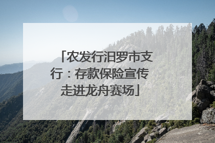 农发行汨罗市支行：存款保险宣传走进龙舟赛场