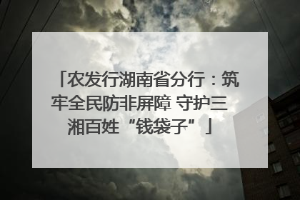 农发行湖南省分行：筑牢全民防非屏障 守护三湘百姓“钱袋子”