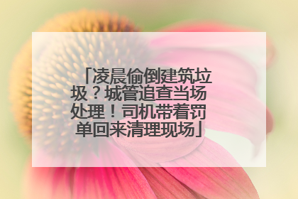 凌晨偷倒建筑垃圾？城管追查当场处理！司机带着罚单回来清理现场